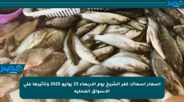 أسعار أسماك كفر الشيخ يوم الأربعاء 23 يوليو 2025 وتأثيرها على الأسواق المحلية